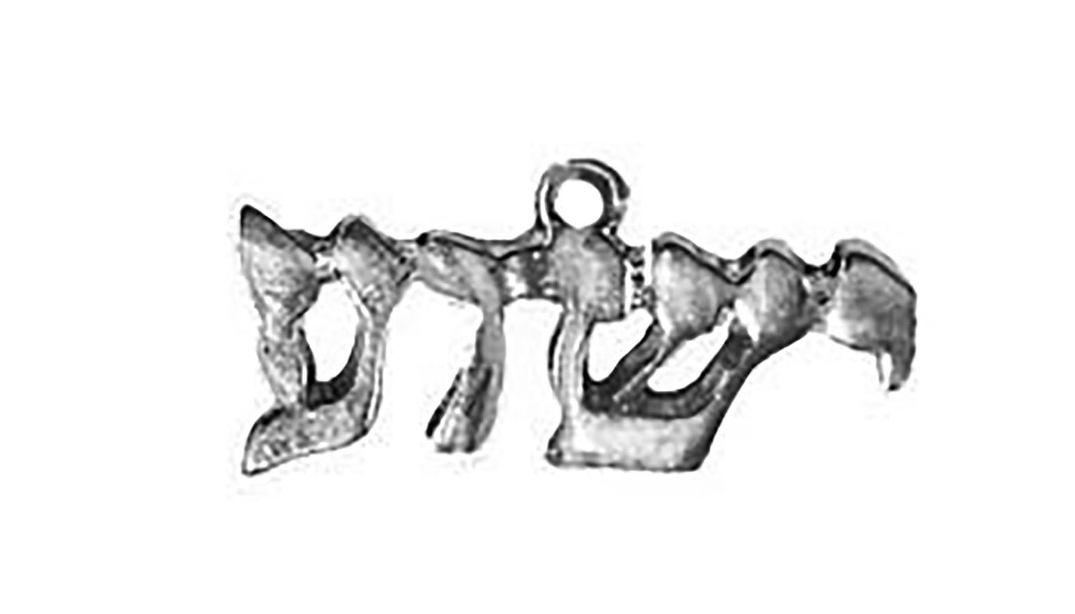 YESHUA ( JESUS IN HEBREW LETTERING ), Named By An Angel Of God, Bright Finish With Jump Ring Attached. Nickel, Lead, Cadmium Free. Sent With Jump Ring Attached. Charm Size 7/8 X 1/2 Inch. Made In The USA By Veterans. Cardinali®Jewelry, Copyright 2017