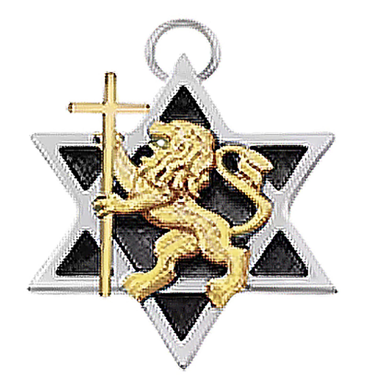 Messianic, Yeshua, Lion Of Judah Holding 14KT Goldtone Cross In A Silvertone Star Of David, What A Wonderful Gift For Yourself, Or Someone Special. Charm Size 3/4 X 3/4 Inches.