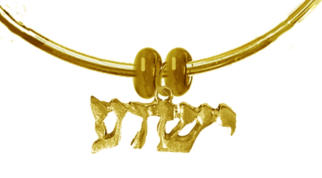 Messianic, Christian, Jewish Yeshua In 14Kt Goldtone,(Named By An Angel From God) On A Adjustable 14KT Goldtone Bangle, Removable Ends, You Can Add Charms Without A Tool. No Nickel, Lead, Or Cadmium
