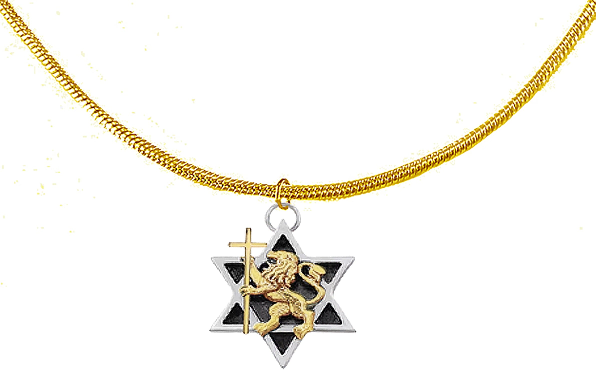Lion Of Judah,  Messianic 14KT Goldtone Lion Of Judah, Star Of David On A Adjustable Snake Chain Necklace, Small Charm And Personal. What A Great Gift For Yourself, A Friend, Or Family Member. ©2024