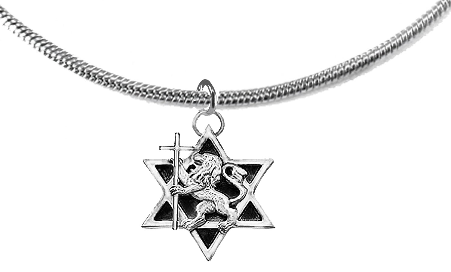 Lion Of Judah,  Messianic Silvertone Lion Of Judah, Star Of David On A Adjustable Snake Chain Necklace, Small Charm And Personal. What A Great Gift For Yourself, A Friend, Or Family Member. ©2024