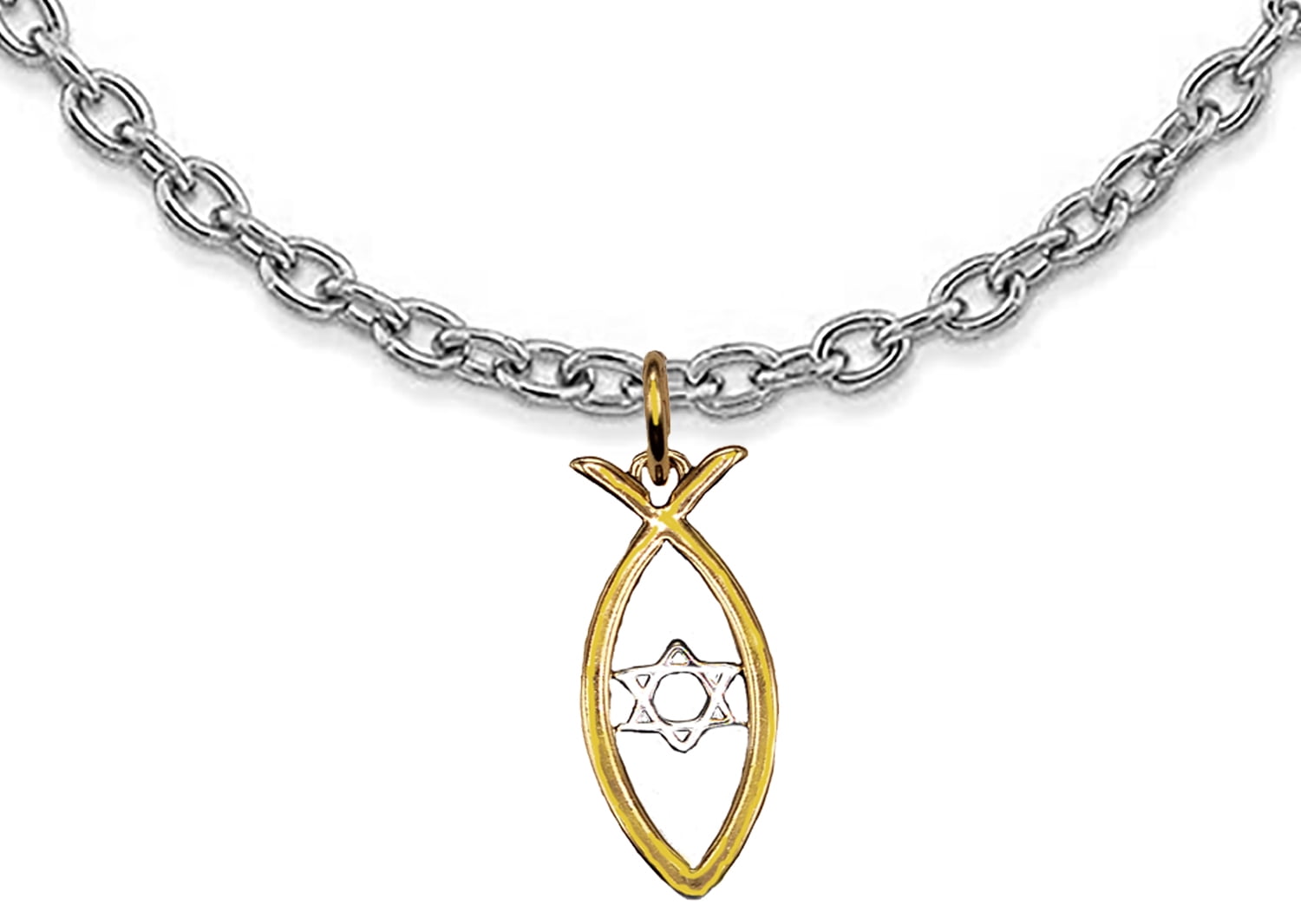 Messianic Christian Fish In 14KT Goldtone, Silvertone Star Of David, Cable Chain Necklace. If you do not believe that this jewelry is beautiful when you receive it, return it for a ful refund